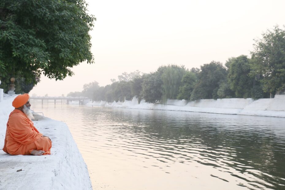 yoga tour india